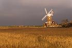 Cley Mill and reeds
